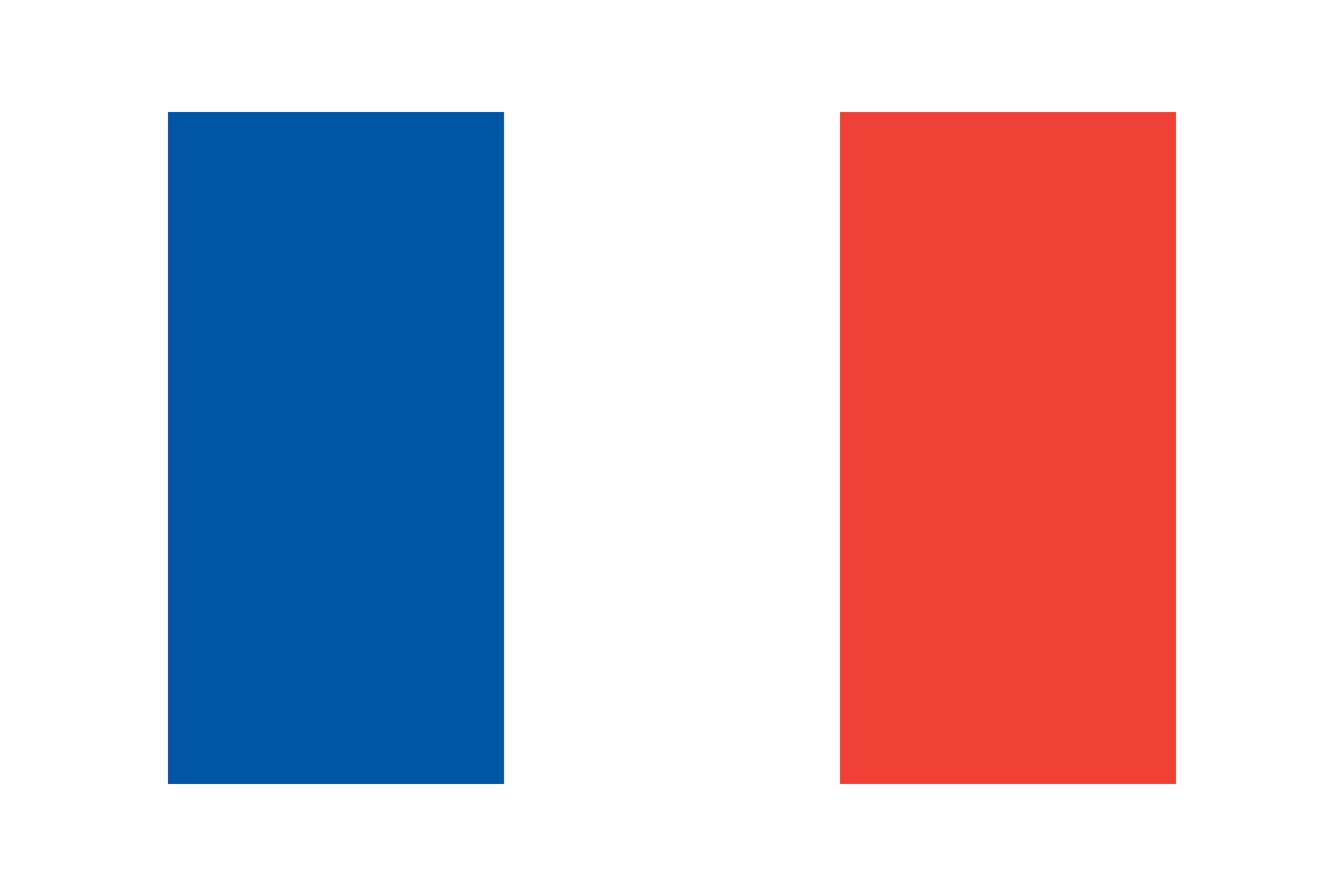 Bandiera Francese